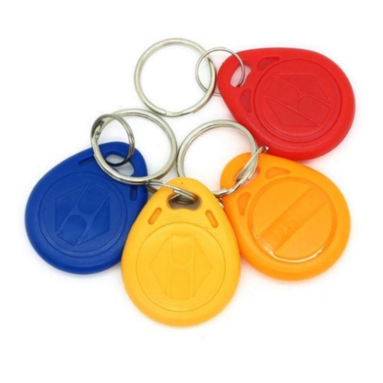 Custom Logo RFID EM TK4100 Read Only ABS Key Tag 125Khz LF Programmable T5577 Key Fob Access Control Keychain