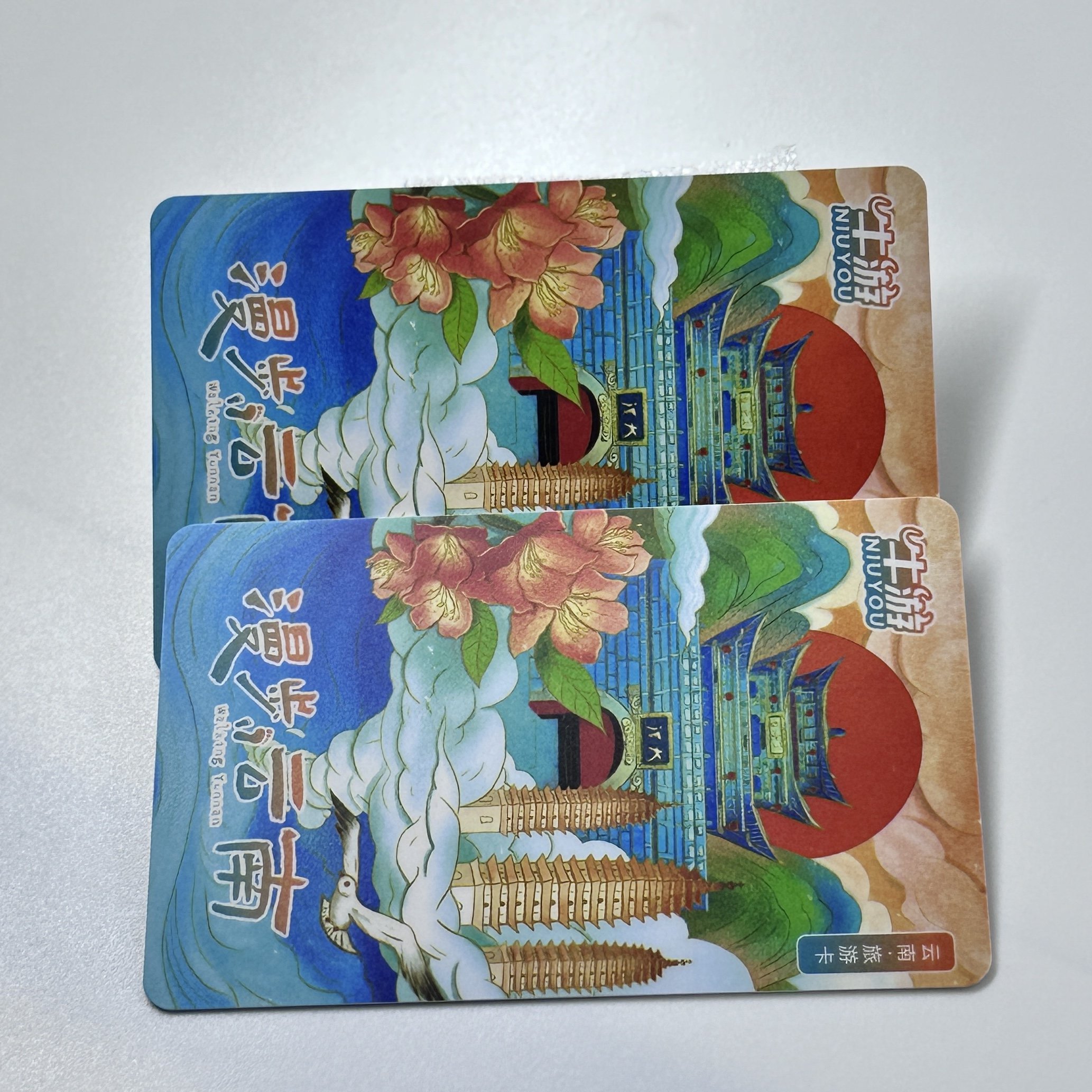 Custom Plastic PVC NFC Card NTAG213 215 216 Printable Blank Social Media NFC Contactless Cards RFID Smart Chip Card