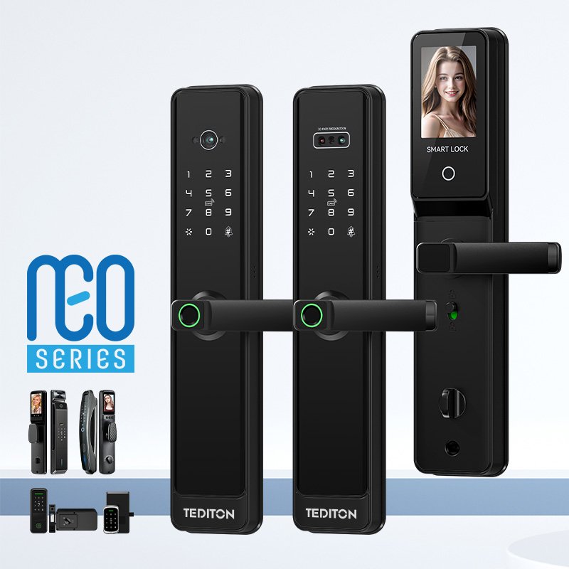 Tediton NEO TTlock Door Entry Touch Screen Face ID Smart Door Lock Fingerprint Biometric Access Control System With Doorbell