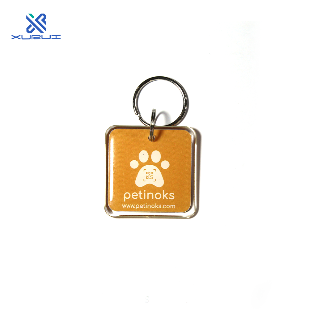 Epoxy Keychains 13.56mhz Rfid IC card Keyfob Nfc Access Control Tag