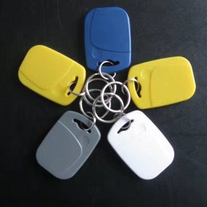 Custom Logo RFID ABS Key Fob 125Khz Read Only EM Marine 4100 Smart Key Tag for Access Control