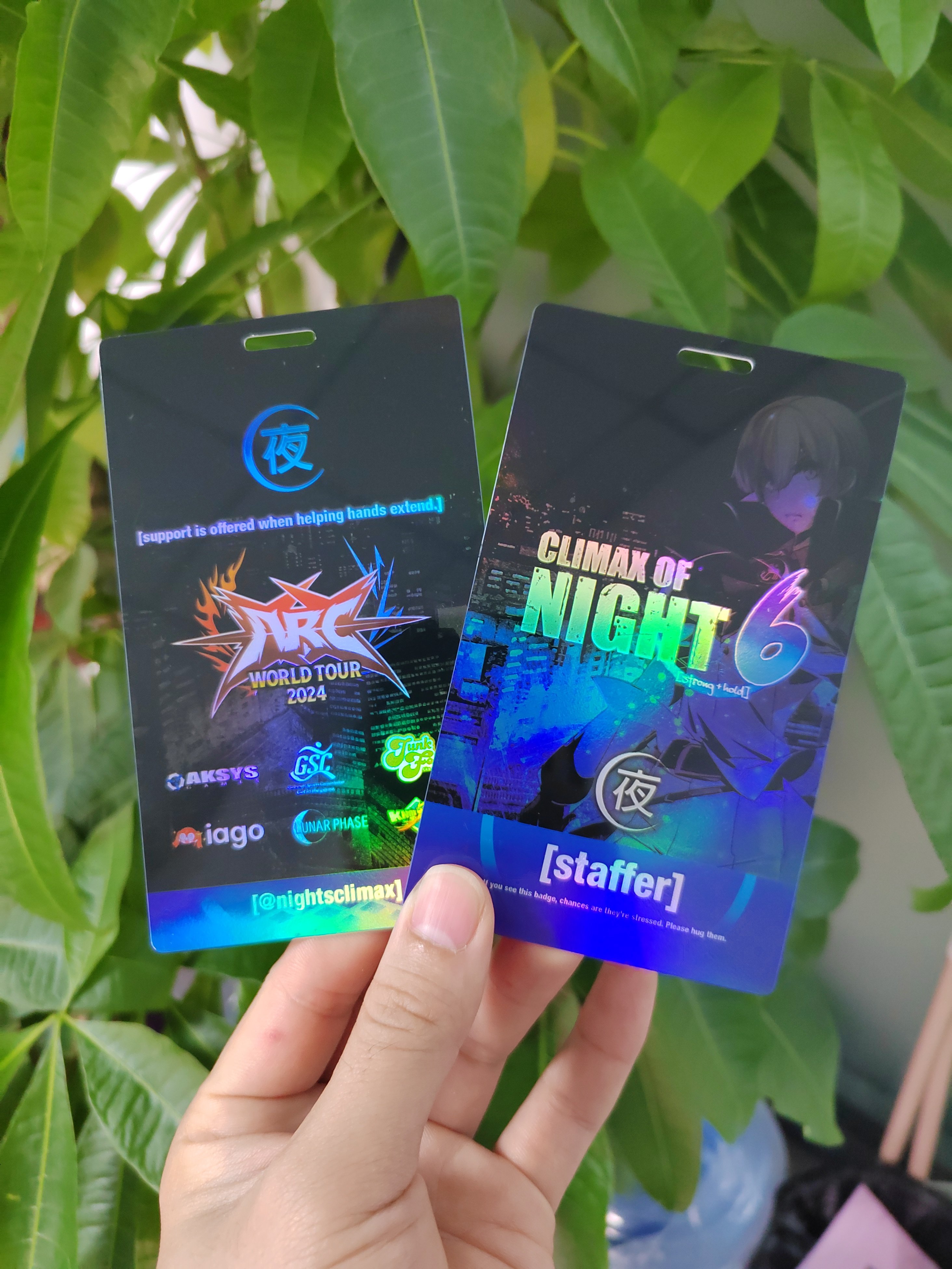 Customized High Quality Full Color Printing Hologram material Backstage VIP Passes Vip Card Id Badge name tag For Events