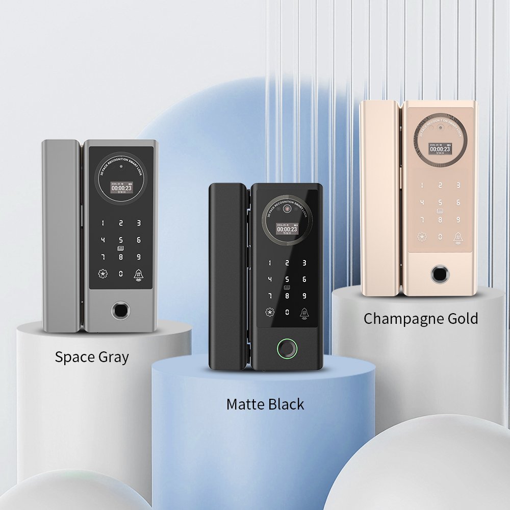 Topteq Smart Outdoor Gate Lock Tuya Wifi Digital Glass Door Lock 3d Face Recognition Smart Door Lock With Camera