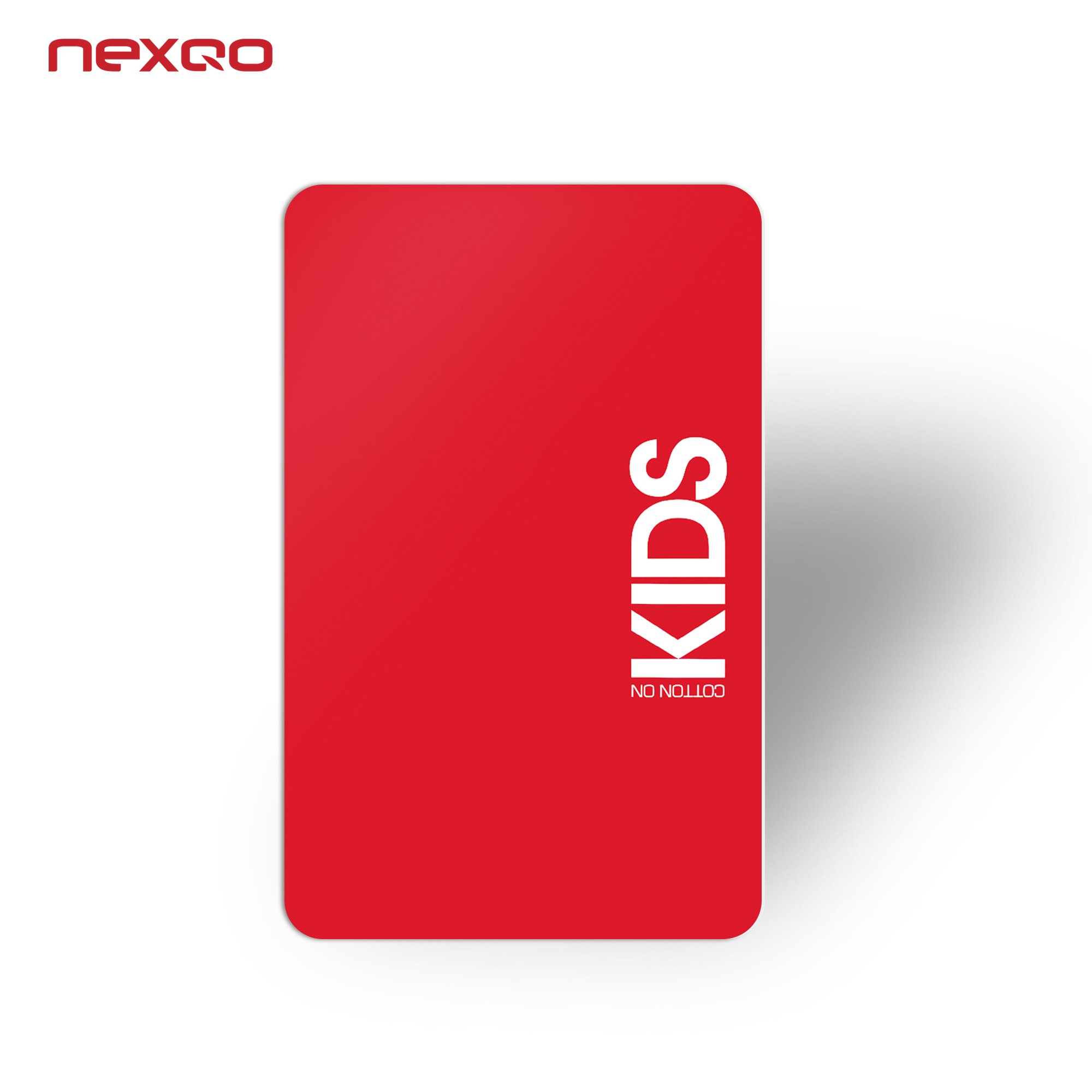 DZ06 Nexqo Custom Printing PVC Key Card RFID NFC Card with Chip