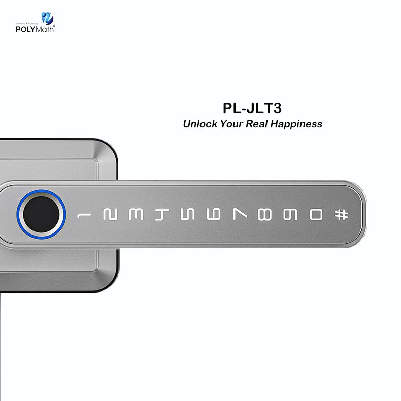 High Security Anti Theft Smart Lock Door Thumbprint Biometric Intelligent Electronic Fingerprint Wifi Ttlock Tuya Door Lock