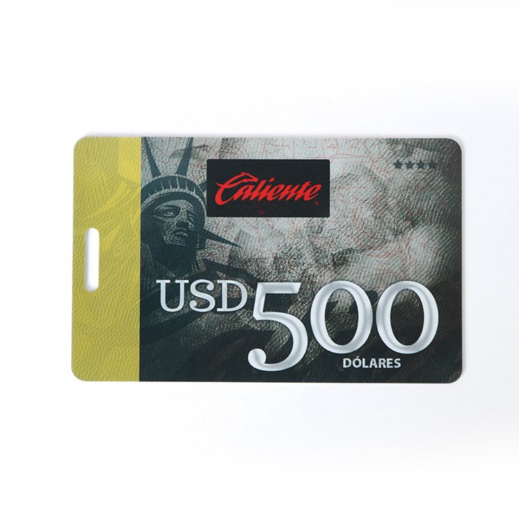 NFC Product Custom 13.56Mhz Blank NFC Card Packaging Social Media Digital Business NFC Card