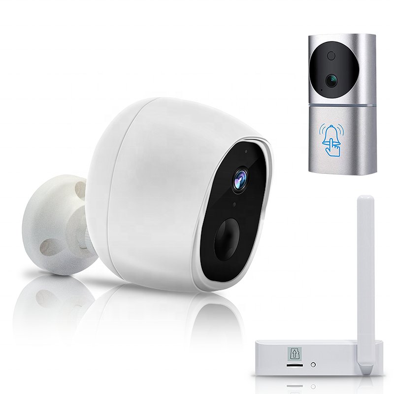 Surveillance camera system