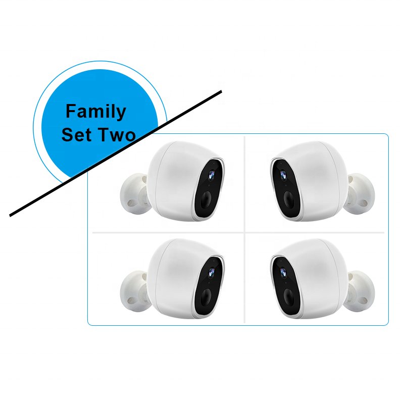 Camera surveillance system
