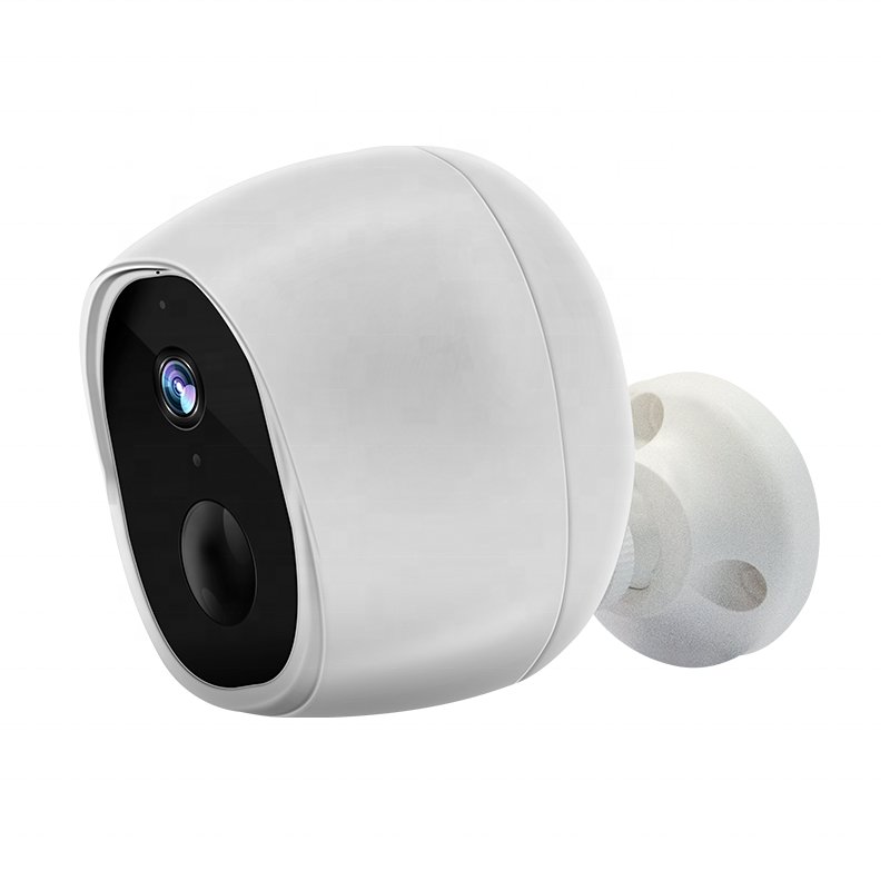Camera surveillance system