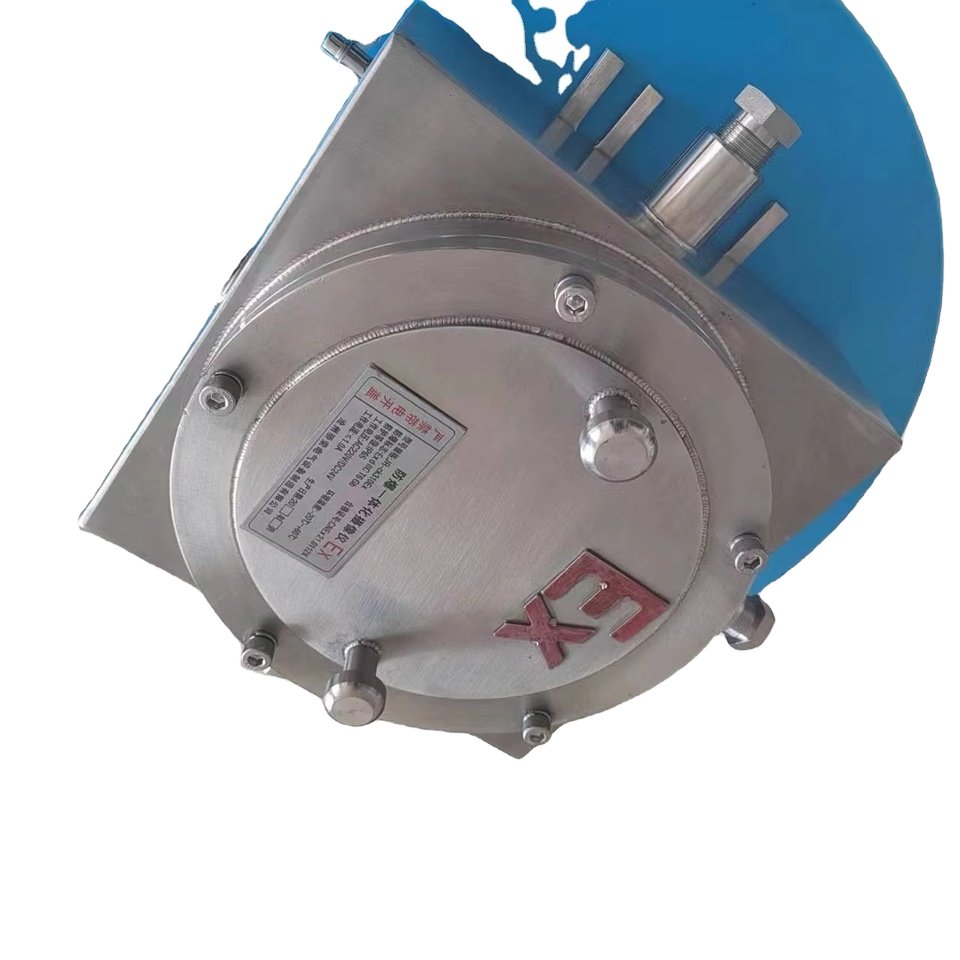 Customizable Explosion-Proof Camera Box from China for Tester Use
