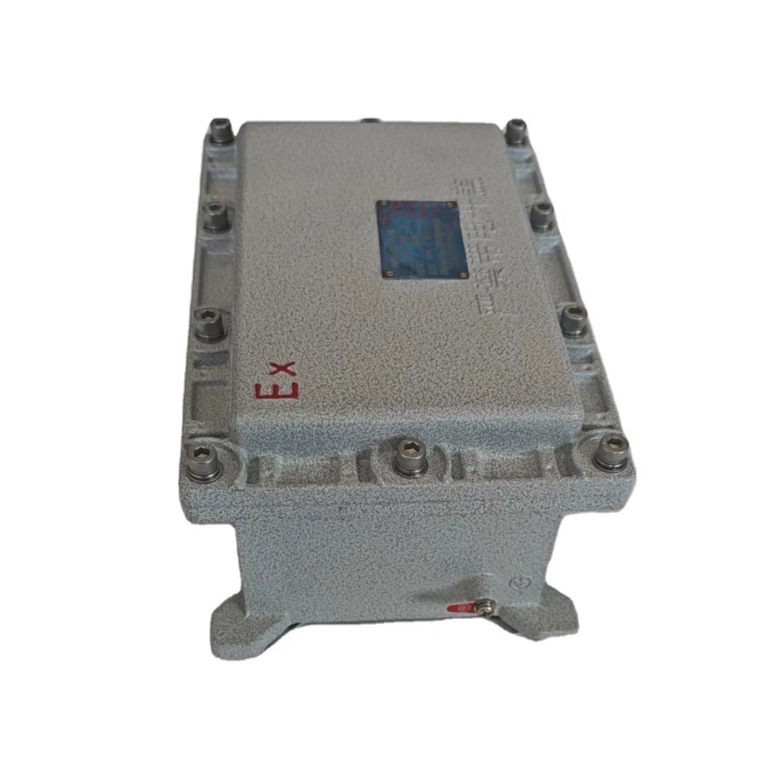 Customizable Explosion-Proof Boxes for Surveillance Accessories Directly from China