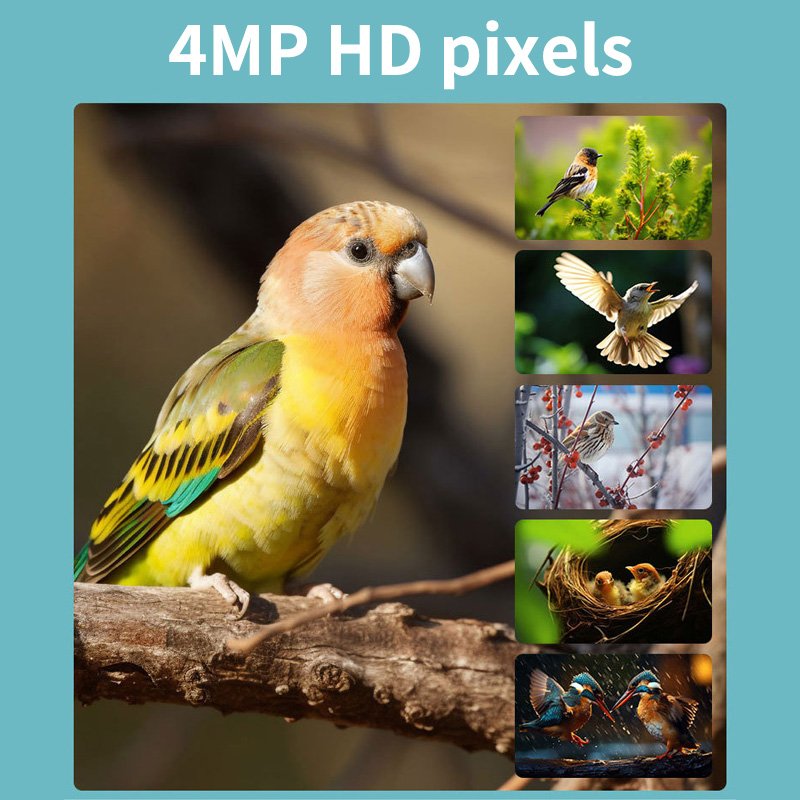 VESAFE Smart AI Recognition Solar Panel Wild Birds Feeders Outdoors 4MP Ubox App Bird Watcher Feeder WIFI 4G Camera