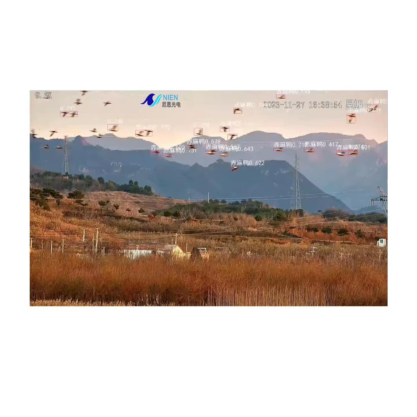 Long-range telephoto surveillance camera, bird intelligence, AI recognition, direct delivery