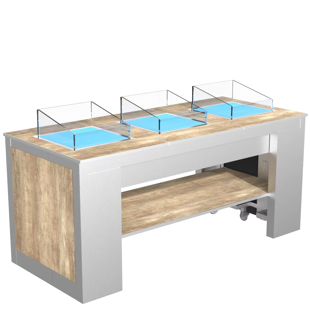 Hotel Restaurant Commercial Catering Buffet Equipment Food Warmer Light Buffet Table