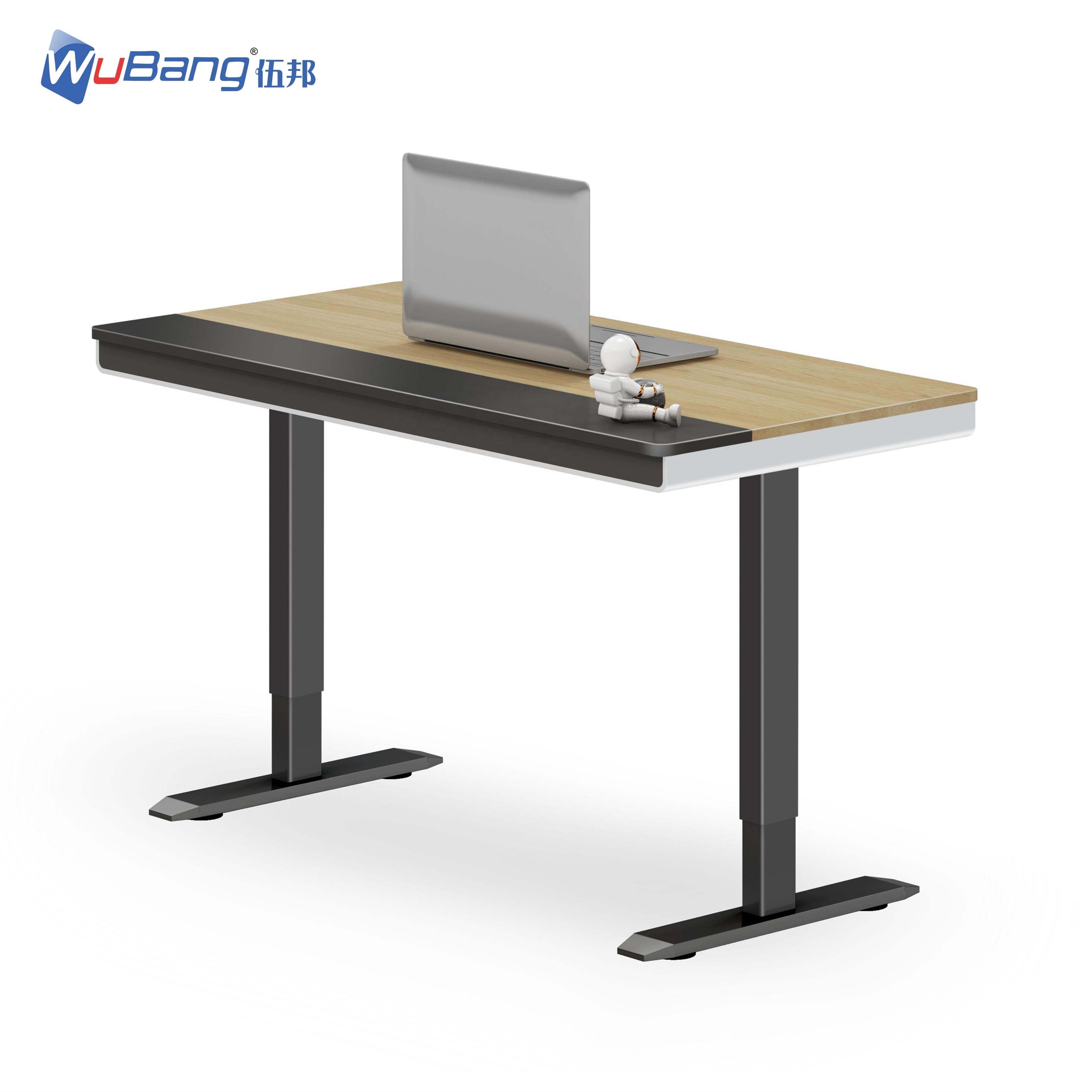 Large Ergonomic Standing Desk Height Adjust Table Office Computer Desk Frame With Dual Motors