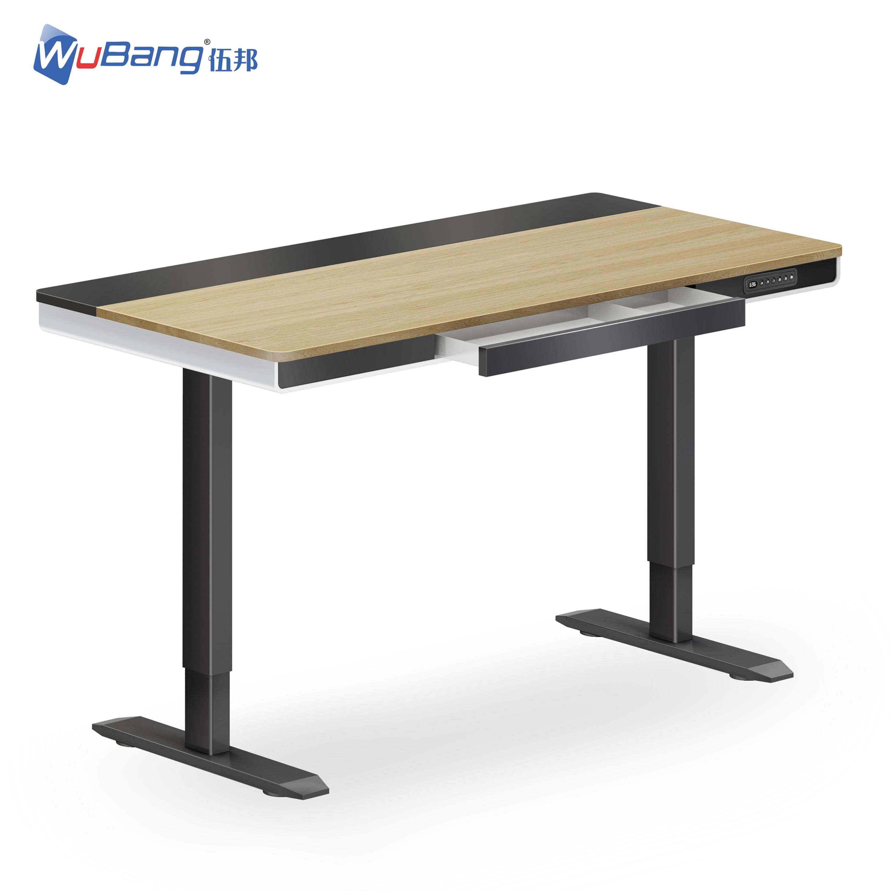 Large Ergonomic Standing Desk Height Adjust Table Office Computer Desk Frame With Dual Motors