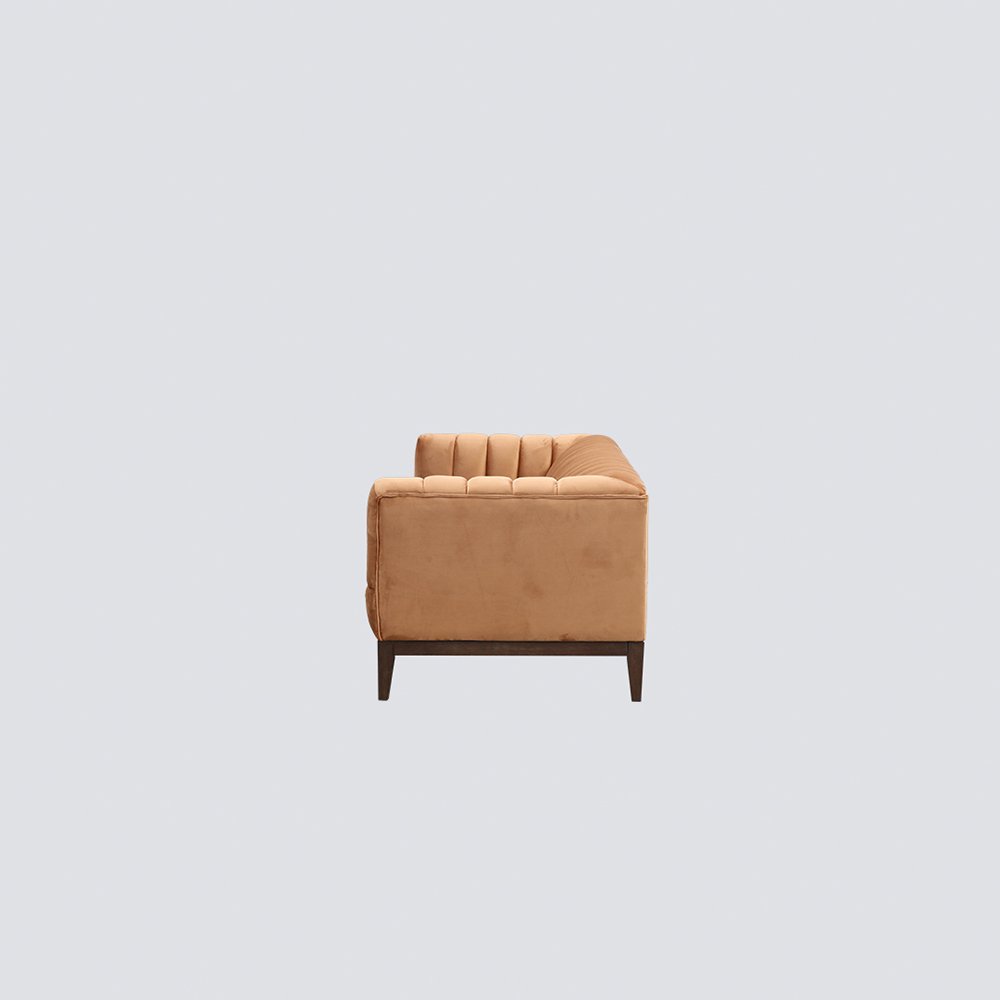 NS FURNITURE Modern Design Living Room Sofa Two Three Seats Velvet Light Luxury Nordic Italian Style Couch Sofa Upholstery