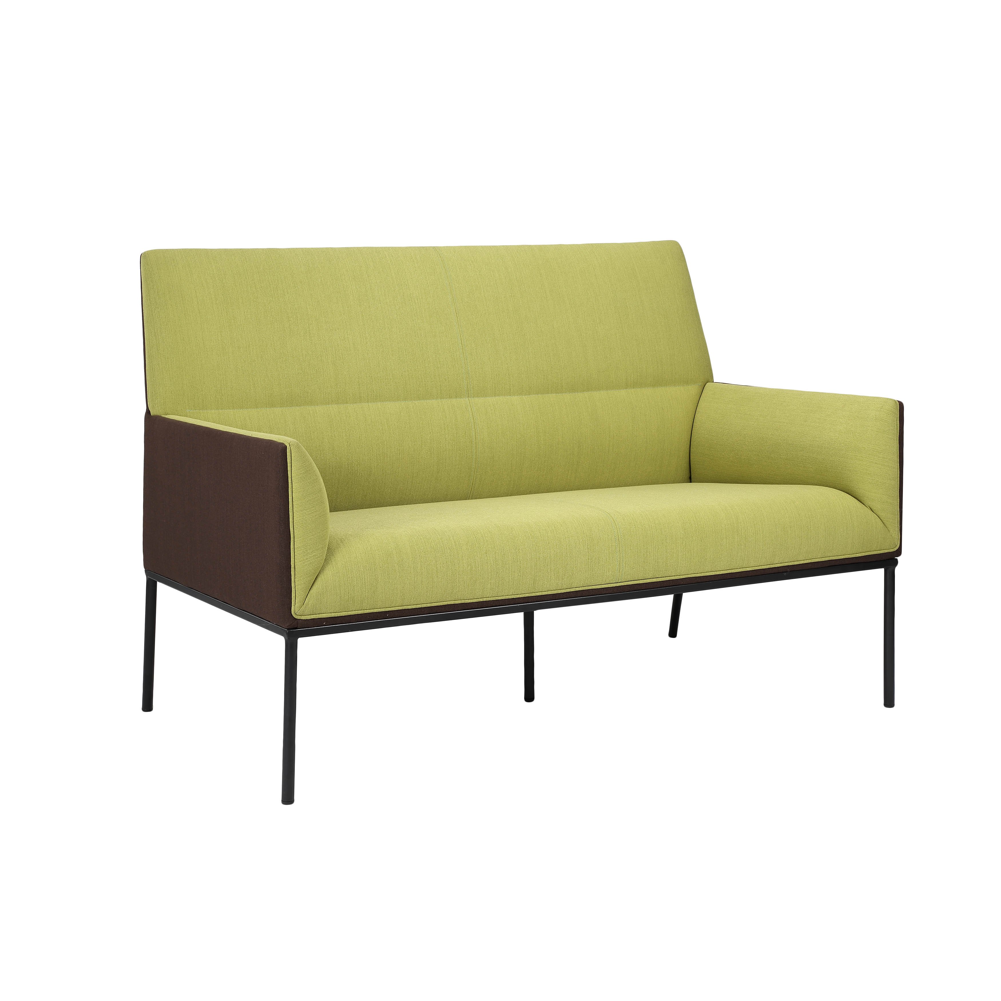 High Quality Comfortable Two-Seat Living Room Sofa Set for Bedrooms Apartments Halls Malls with Metal Legs Fabric Material