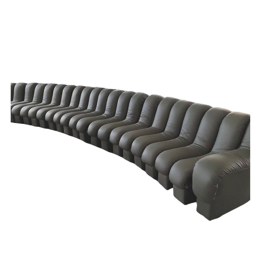 Modern Modular Endless Sofa Bed Curve Snake Bone Shape Couch Designer Hotel Home Genuine Leather Long Couches for Living Room
