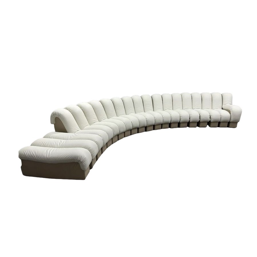 Modern Modular Endless Sofa Bed Curve Snake Bone Shape Couch Designer Hotel Home Genuine Leather Long Couches for Living Room