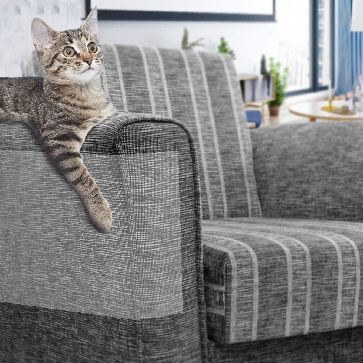 Sofa Couch Furniture Guard Anti Cat & Dog Scratch Plastic Bedroom Furniture Modern Living Room Sets Double Side Tape CN;GUA