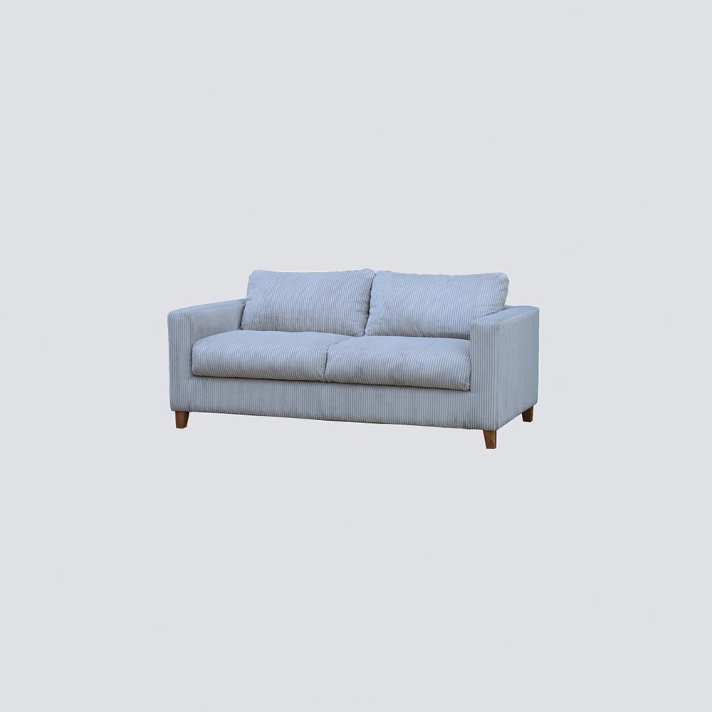 NS FURNITURE Modern Sofa Design Two Seat Luxury Sofa Bed Convertible Sofa Nordic Fashion Fabric Living Room Upholstery Couch
