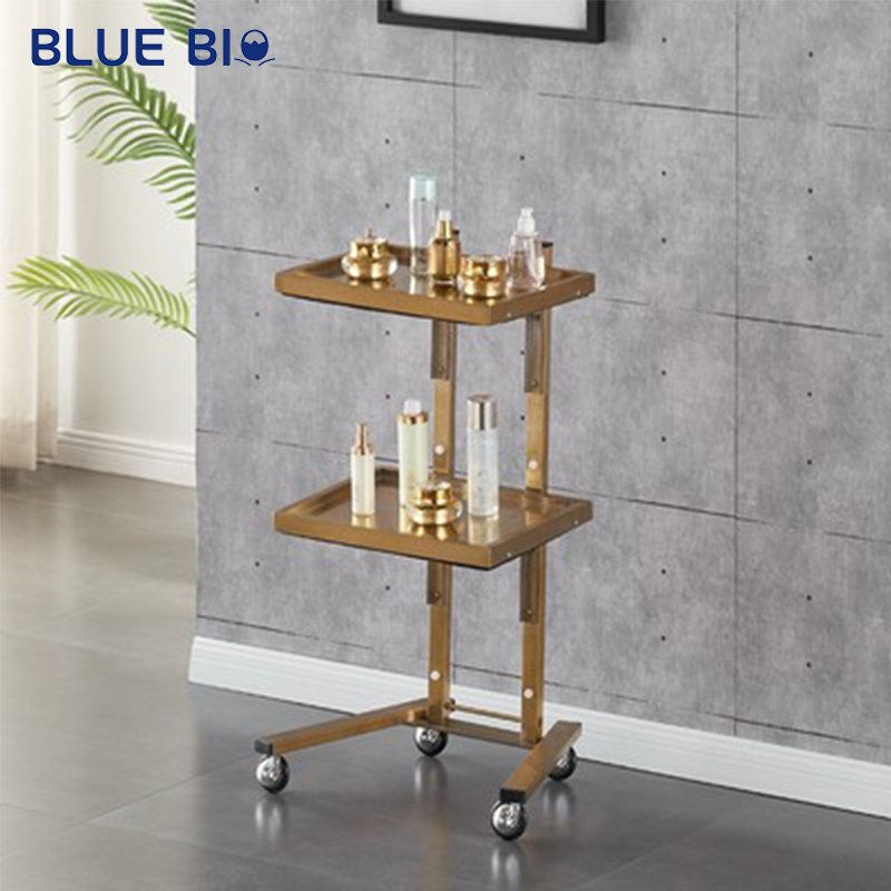 Modern Multi-level Salon Trolley Cart Rolling Wheels Hairdressing Barber Cart Storage Trolley