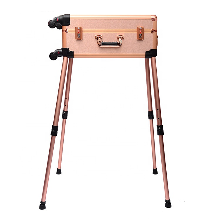Wholesale Rolling Makeup Trolley Train Case Cosmetic Box Studio with Bulb Speaker Wheels Tempered Mirror for Salon Artists