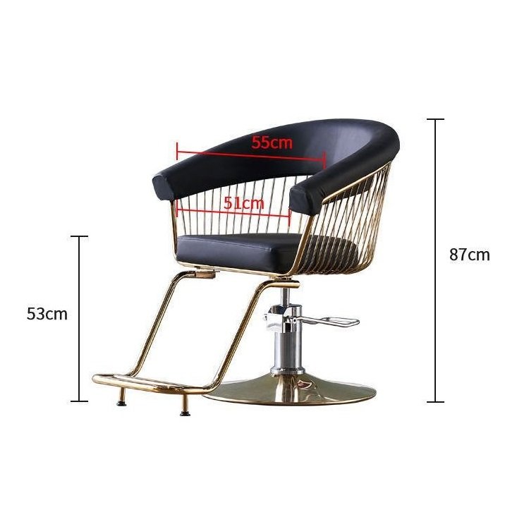 Modern Barber Chair for Salon Hairdressing and Styling