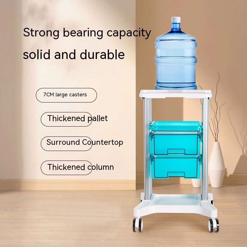 2024 New Beauty Salon Multifunctional Double Drawer Salon Trolley Mobile Beauty Instrument Cart