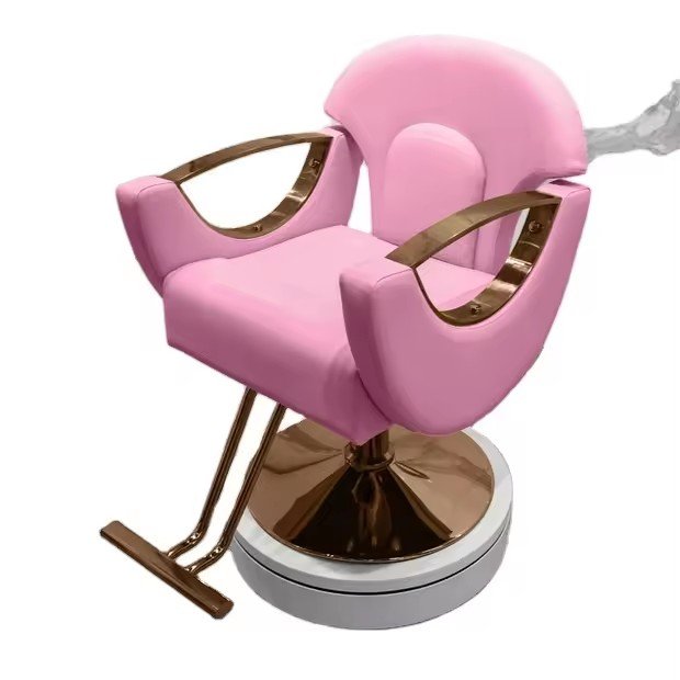 High Quality Multi-Functional Metal Barber Chair Height Adjustable for Beauty Salons Hospitals Workshops Laundries