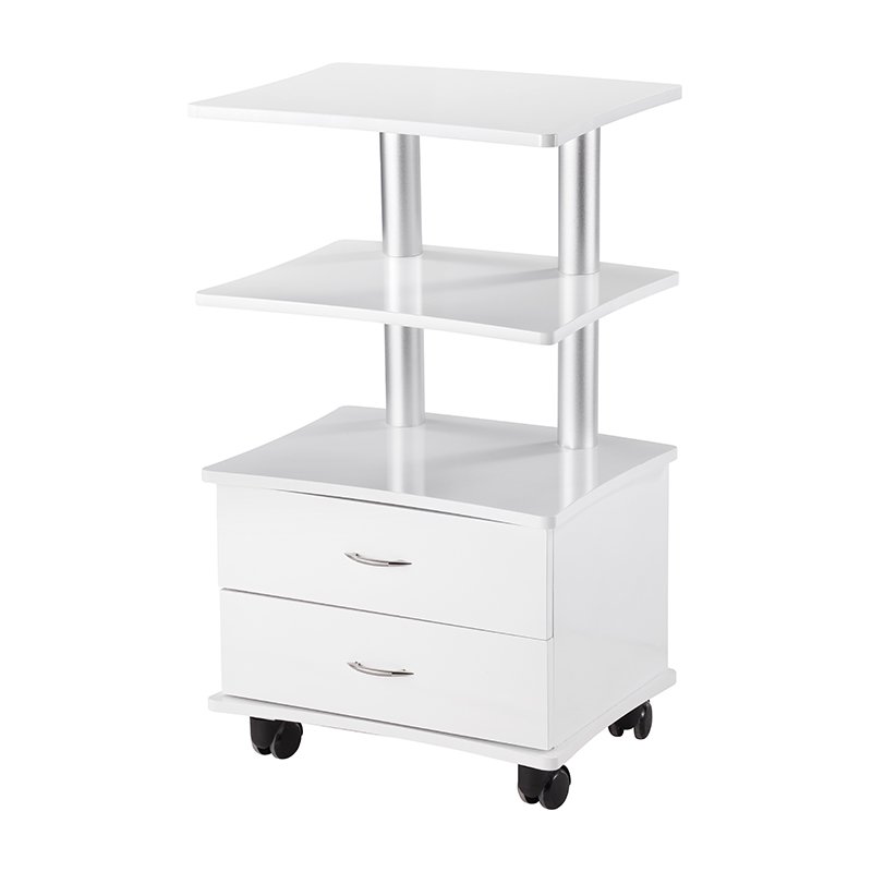 Beauty Salon Trolley Facial Storage Trolley Rolling Cart TS-4213A