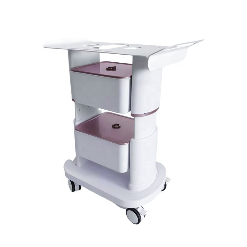 New Selling Factory Price price new fashion case high quality trolley multi-functional beauty salon furniturebeauty cart