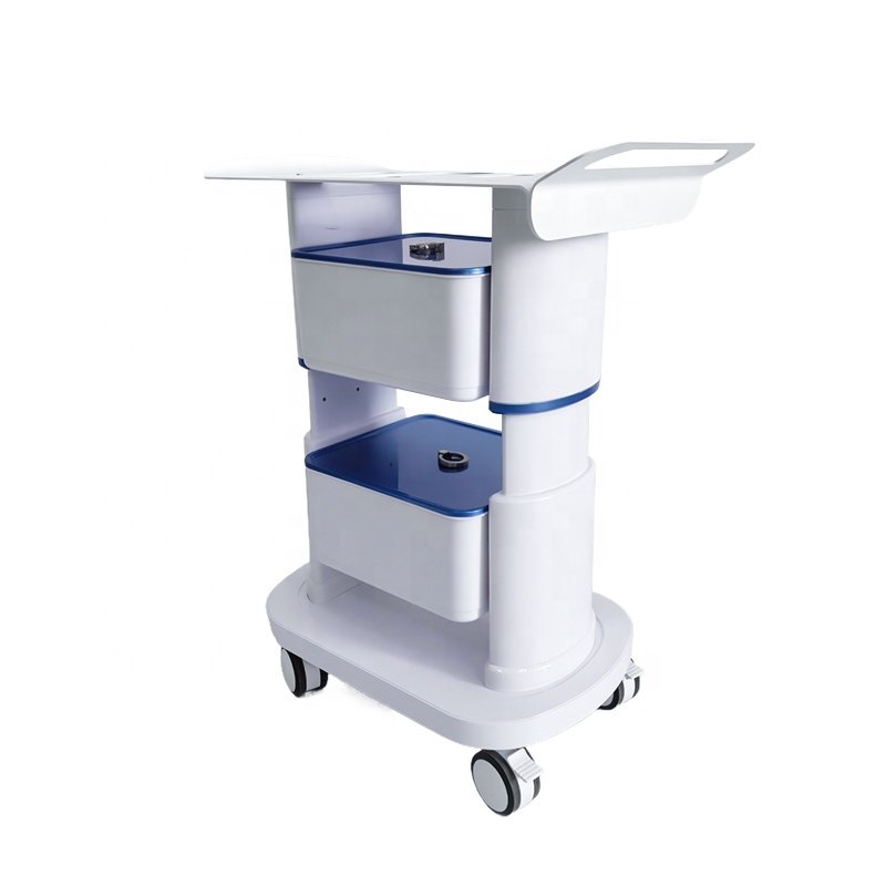 New Selling Factory Price price new fashion case high quality trolley multi-functional beauty salon furniturebeauty cart