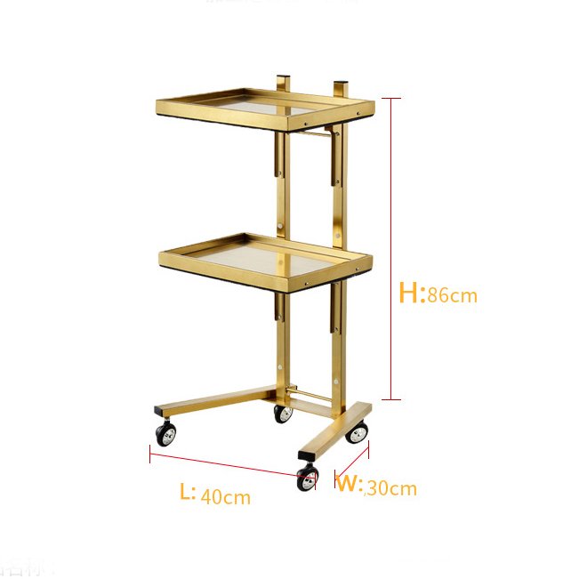 Portable Foldable Gold Double Layer Salon Rolling Cart Tray Hairdresser Barber Trolley Beauty Salon Trolley Cart