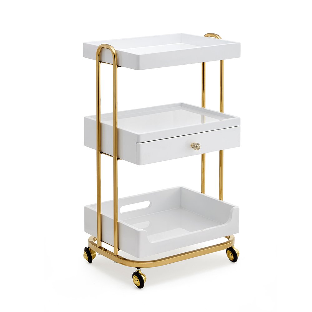 Multi-functional Beauty Salon Furniture Beauty Cart Shelf Mobile Beauty Spa Storage Trolley