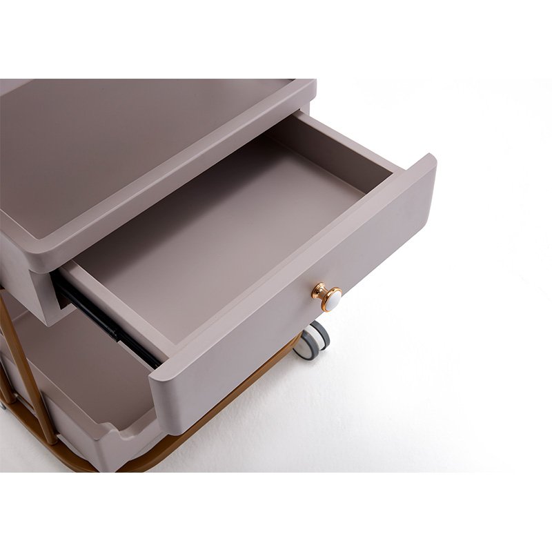 Special Price Beauty Salon Trolley Hairdressing Hydrotherapy Rolling Storage Cart with Wheels