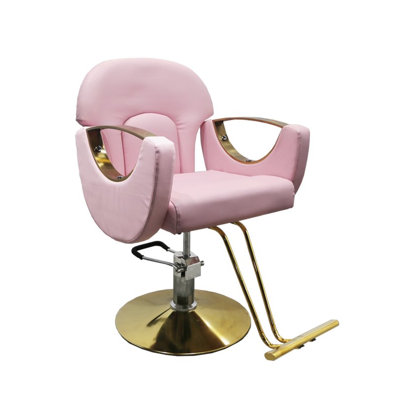 Tomspa Modern Design Styling Chair Meet the Ergonomics Design Comfortable Barber Chair for Beauty Salon TS-3831