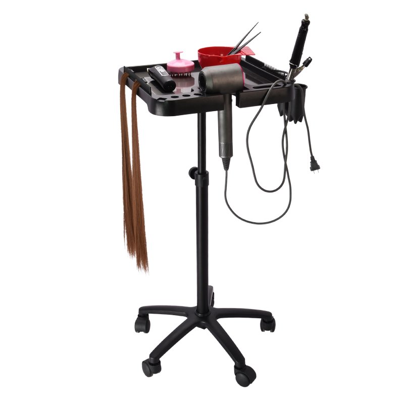 Magnetic Tray Cart Wig Rack Display Rack for Spa Home Professional Quality Black Salon Furniture Salon Equipment Traditional
