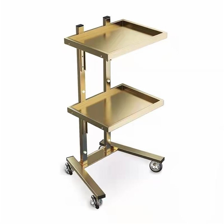 Diant silver hand carts trolleys steel salon tool cart with wheels