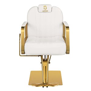 Professional Comfortable Ladies' Styling chair for Salon Styling