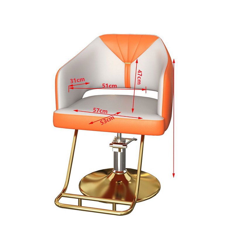 Successor wholesale gold salon chairs modern beauty salon furniture eyelash spa acrylic salon chair metal base