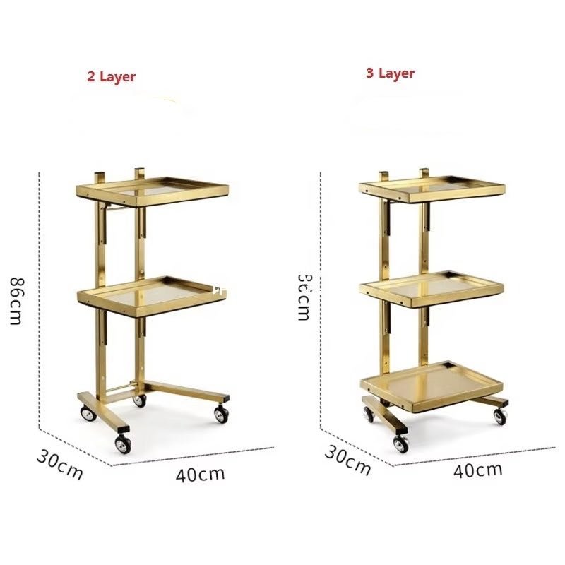 Salon Furniture Double layer Folding Stainless Steel Silver Gold Luxury Salon Hairdressing Cart