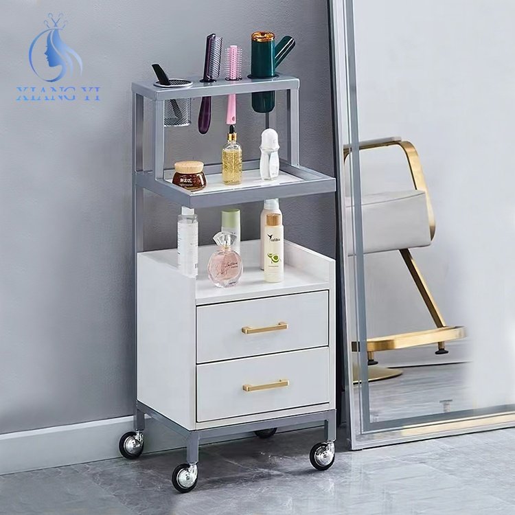 Beauty salon furniture barber Storage tool trolley head spa equipment hairdressing spa cart