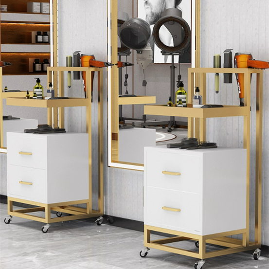 Dryer Frame New Style Holders Modern Hair layer cart With Metal Beauty Salon Trolley For Sale