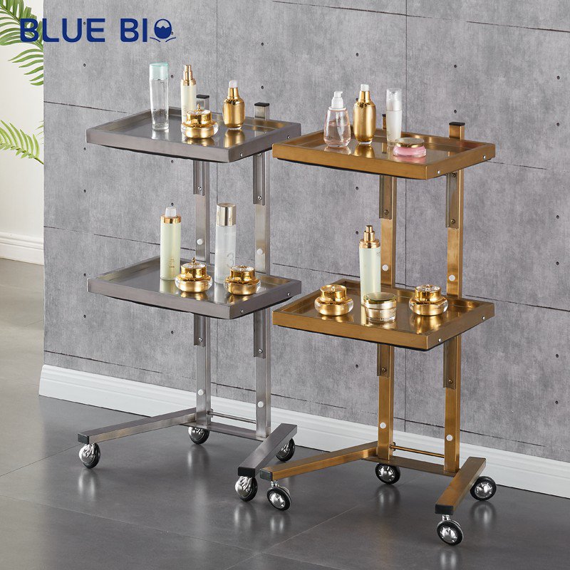 Beauty Barber Shop Modern Rolling Salon Cart Lockable Hair Salon Trolley Facial Spa Beauty Trolleys Stool Storage Cabinet