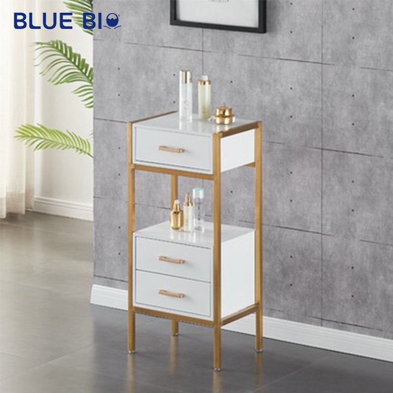 Best Mobile Hair Salon Styling Cart Beauty Salon Tool Cart Hair Salon Trolley Barber Shop Tool Cabinet