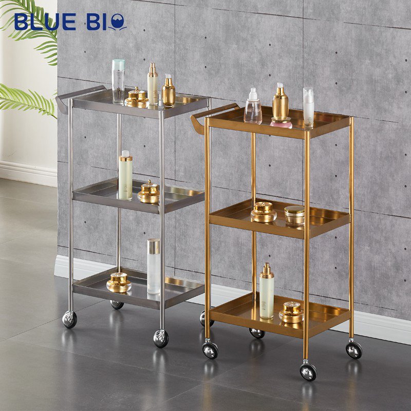 Best Mobile Hair Salon Styling Cart Beauty Salon Tool Cart Hair Salon Trolley Barber Shop Tool Cabinet