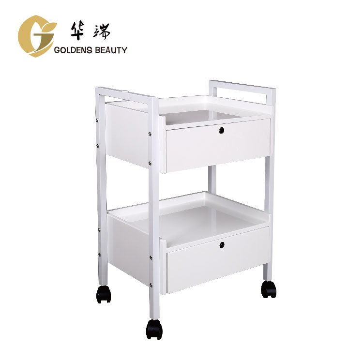Economical And Convenient 2 Layer Beauty And Hairdressing Handcart Manual Hairdressing Handcart
