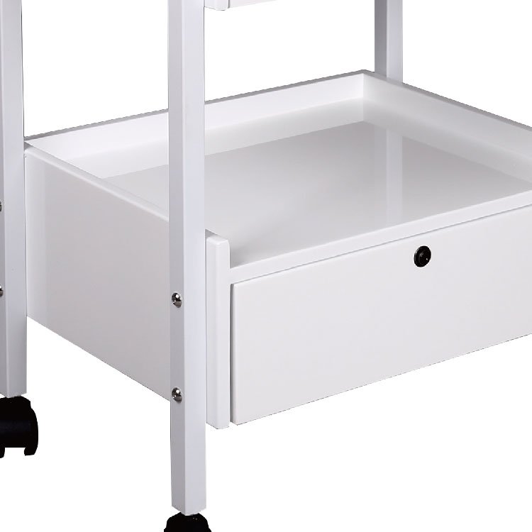 Economical And Convenient 2 Layer Beauty And Hairdressing Handcart Manual Hairdressing Handcart